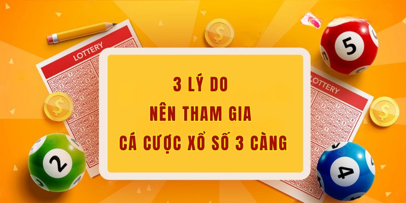 3 lý do nên tham gia cá cược xổ số 3 càng